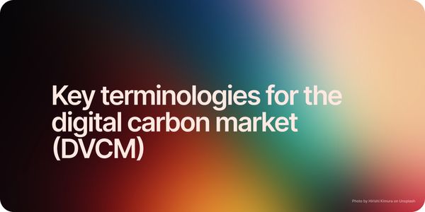 Key terms in the Digital Carbon Market (DVCM) — explained