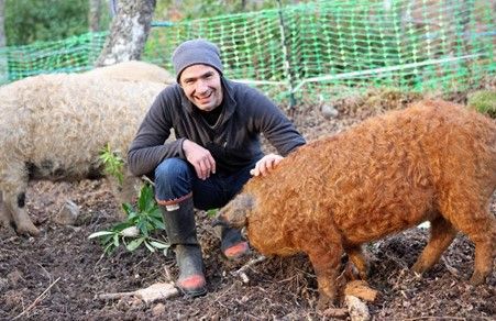 Jim Mann is project lead of the Mineral Weathering in Scotland project. Jim's wooley pigs help prepare the soil for new growth