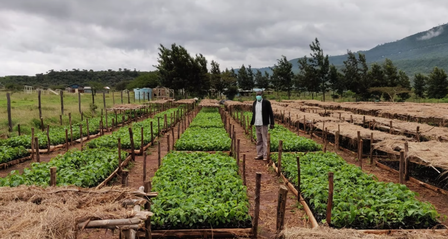 Farmer in a tree nursery, taken from the Mau Forest project gallery