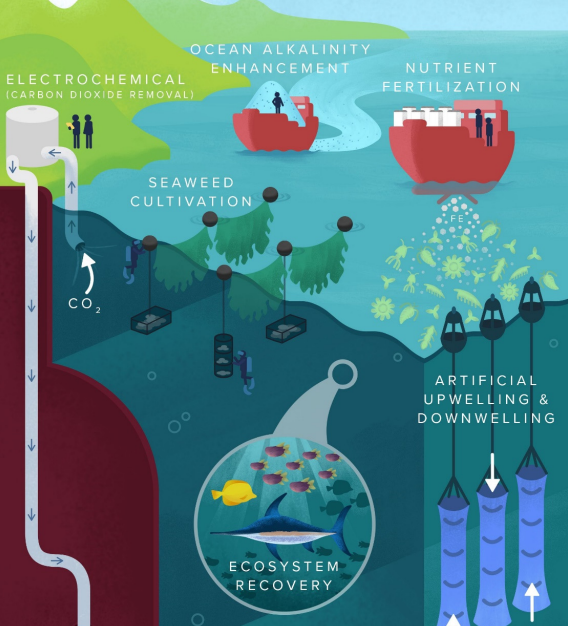 Illustration of the ocean based solutions introduced below (NASEM, 2021)