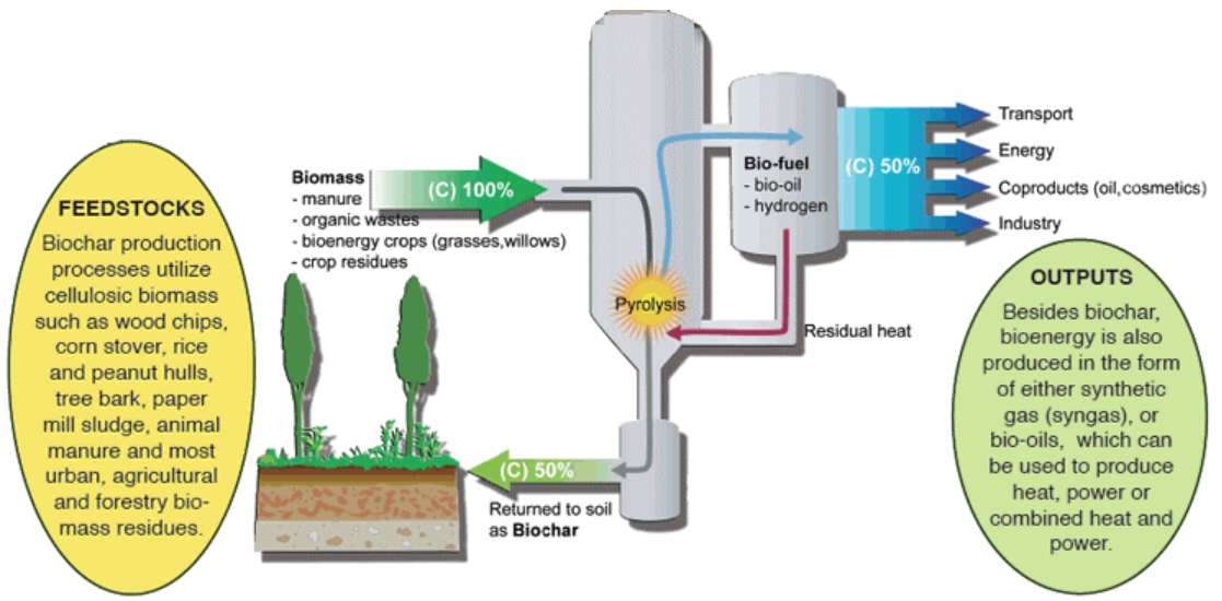 What is biochar? CDR explained