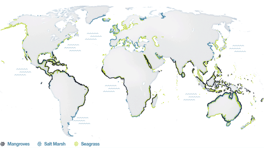 Global distribution of coastal blue carbon ecosystems, by the Blue Carbon Initiative