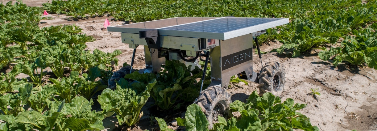 The Aigen solar powered robot