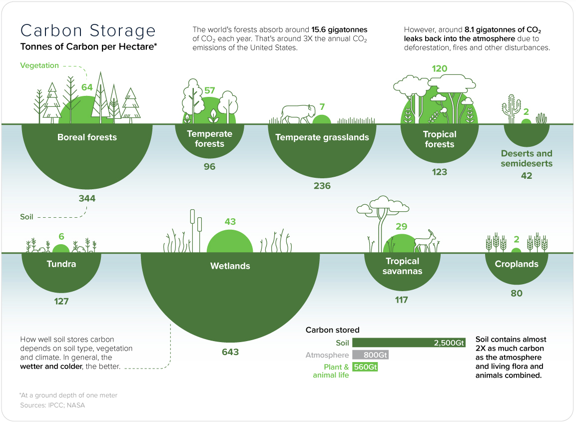 Soil carbon sequestration by different ecosystems, from the Visual Capitalist