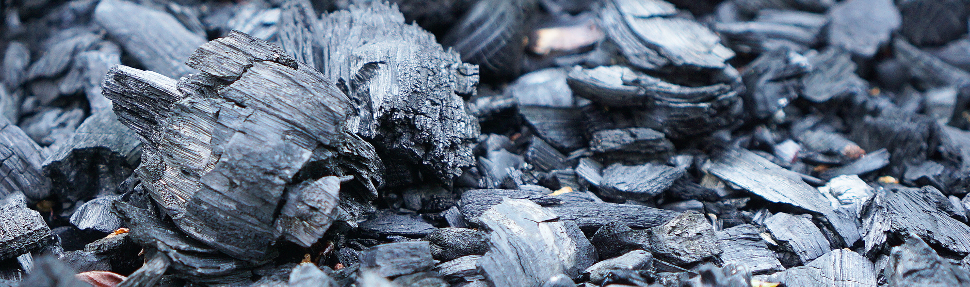 What is biochar? CDR explained