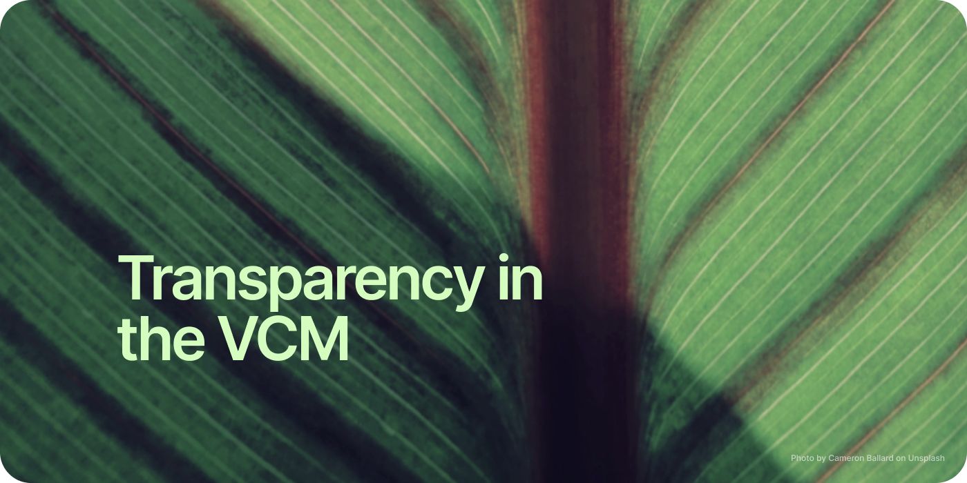 Why the VCM needs more transparency