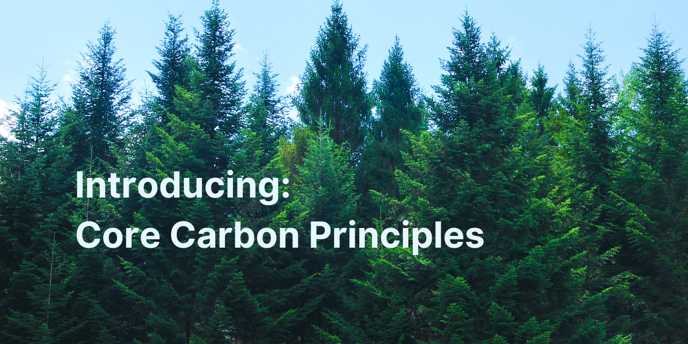 Introducing: The Core Carbon Principles 💡