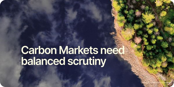 Carbon Markets need balanced scrutiny