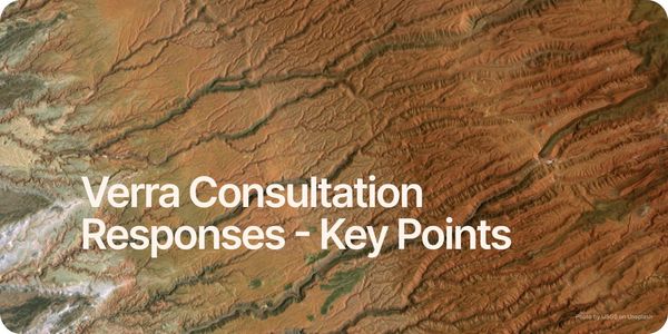 Moving forward: a look at Verra's public consultation summary