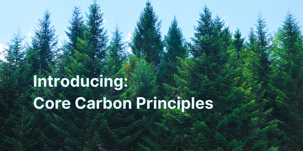 Core Carbon Principles | Integrity for carbon credits