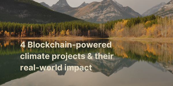 Solving climate problems: 4 Blockchain projects that have a real-world impact