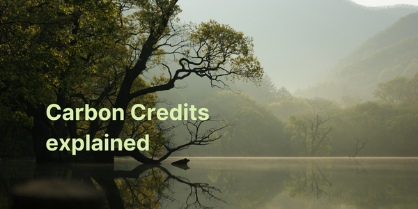 What are carbon credit retirements?