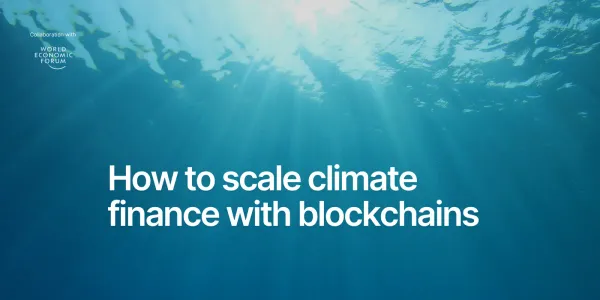 How blockchains could support a more scalable way for climate finance