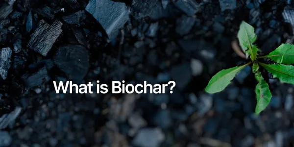 What is biochar? CDR explained